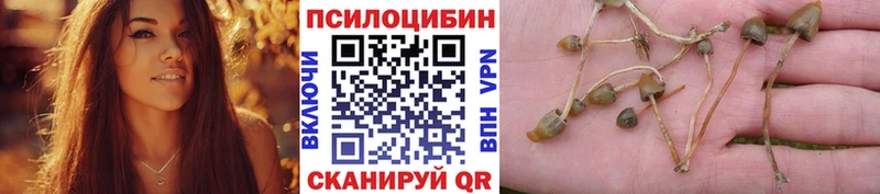 Псилоцибиновые грибы Psilocybe  купить наркотики цена  Любим 